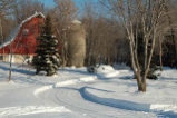 a minnesota winter barn scene